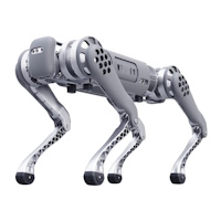 Quadrupeds