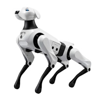 Quadrupeds
