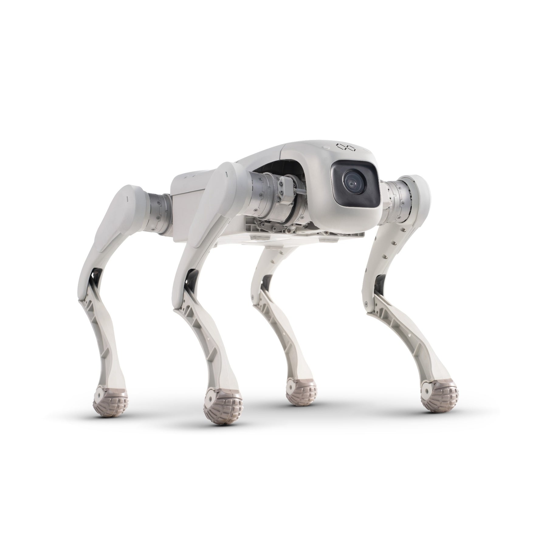 FX Aegis Edu Quadruped Robot Dog