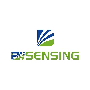 BWSENSING Dual Axis Wireless NB-Iot Inclinometer (NB-WK100)
